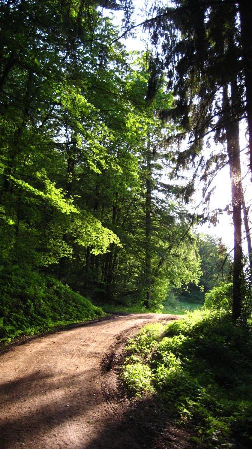 Gaestezimmer Waldblick Wimbach Esterno foto