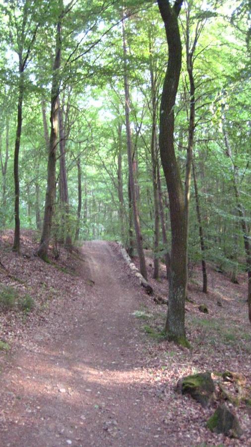 Gaestezimmer Waldblick Wimbach Esterno foto