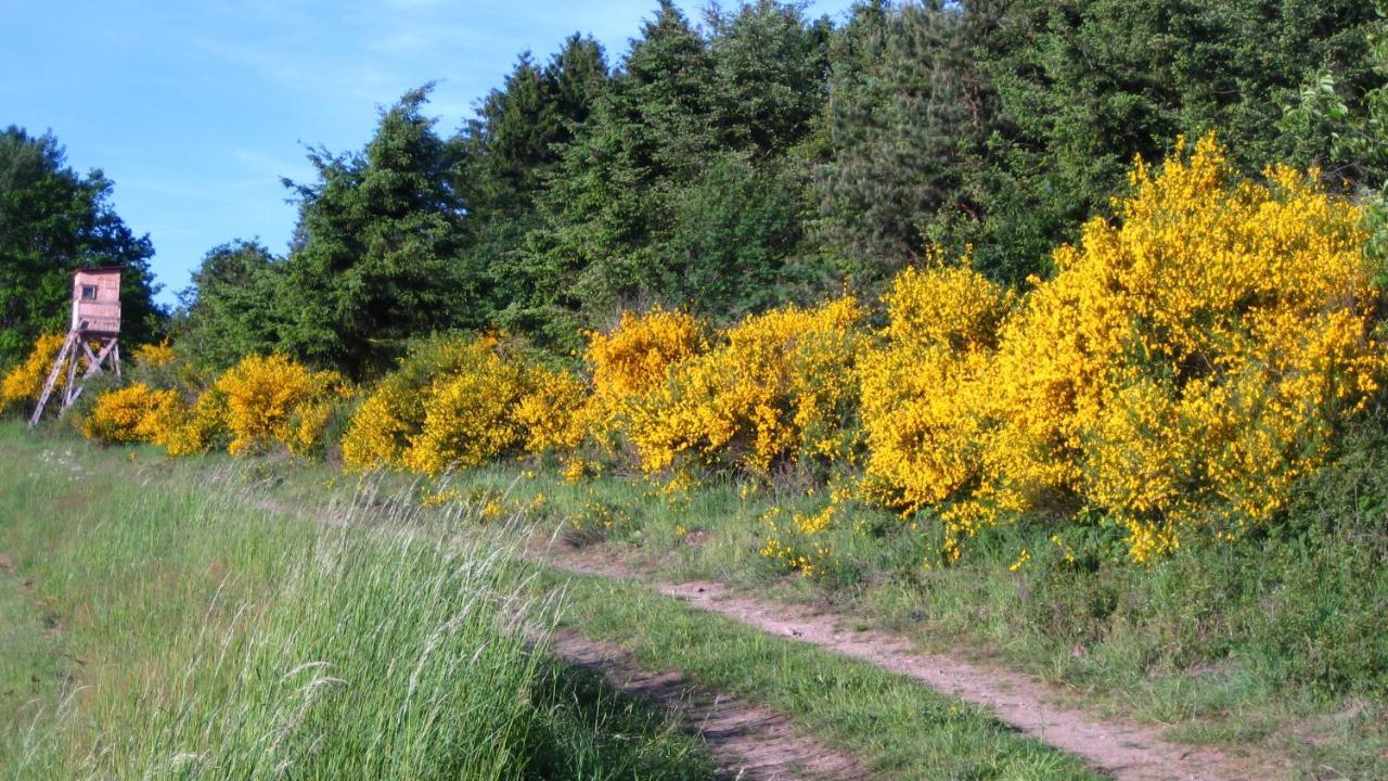 Gaestezimmer Waldblick Wimbach Esterno foto