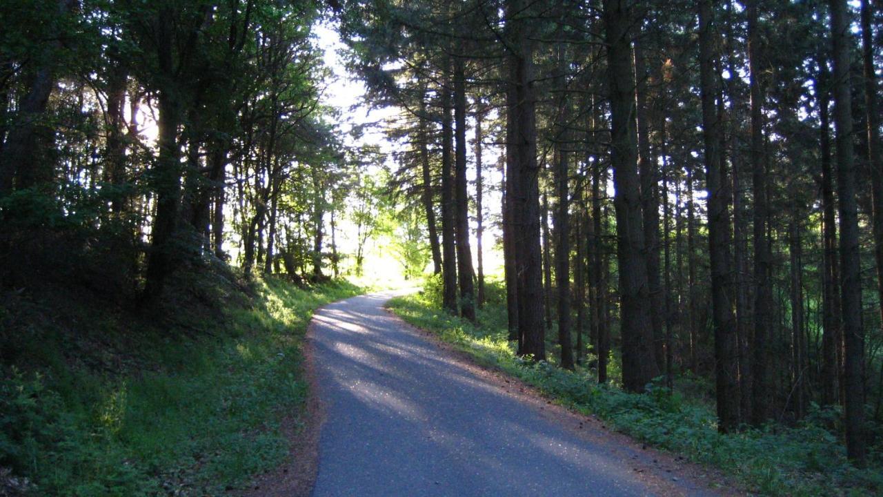 Gaestezimmer Waldblick Wimbach Esterno foto